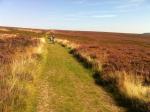 The Collings Boys at the Hole of Horcum