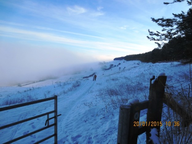 ???????????????????????????????