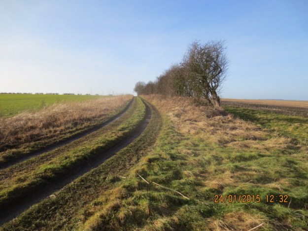 1-20140124-Wolds