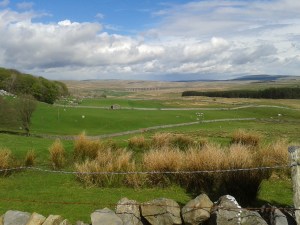 Ribblehead