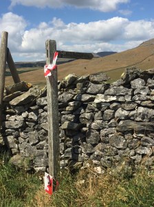 Ingleborough from #33
