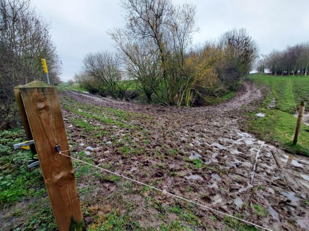 Bridleway junction between Gatherley and Uckerby